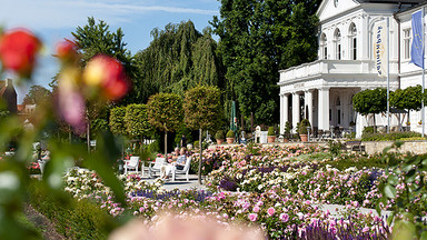 Rosengarten Kurpark Bad Salzufflen