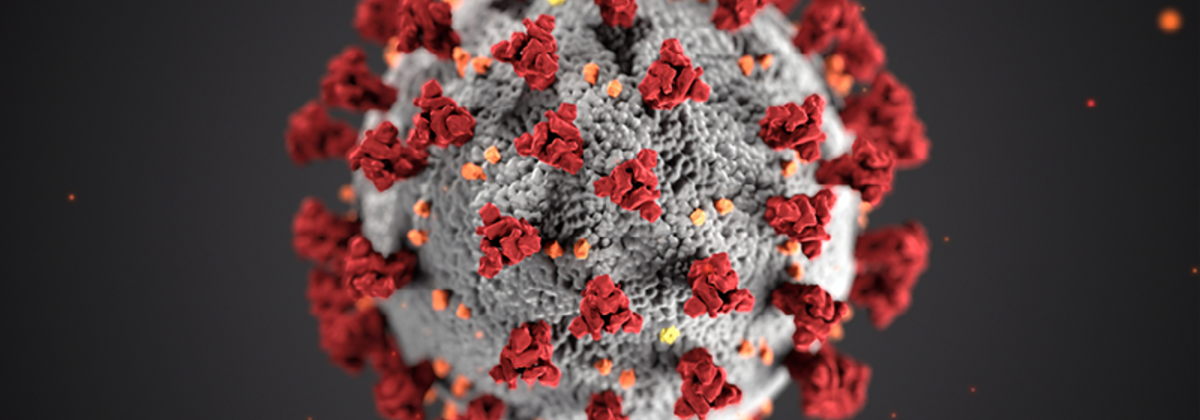 Titelbild Thema Coronavirus