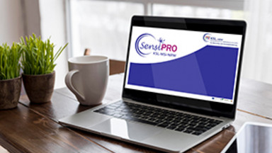 Laptop mit Logo - SensiPro-Schulung